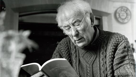 Irish poet and Nobel Prize-winner Seamus Heaney