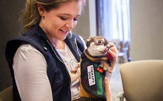 Student petting a therapy dog